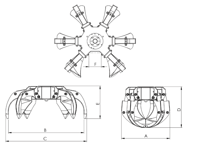 PULPO